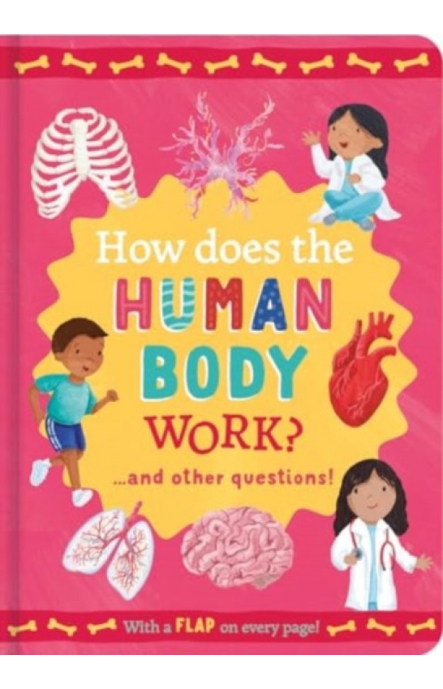 How Does the Human Body Work