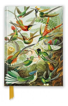 Ernst Haeckel Hummingbirds Foiled Pocket Journal