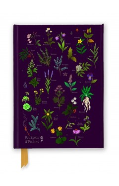 Anna Stead: For Spells &amp; Potions