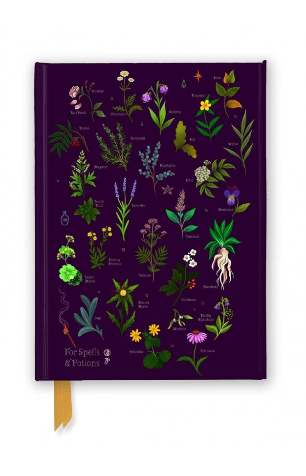 Anna Stead: For Spells & Potions