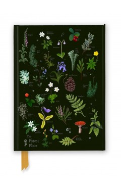 Anna Stead: The Forest Floor 