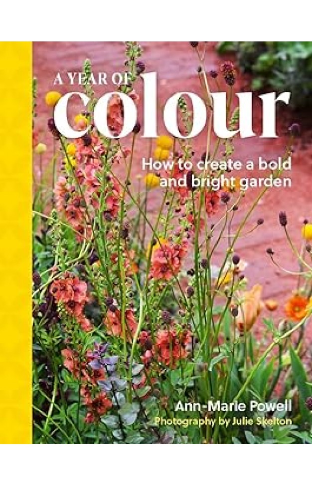 A Year of Colour