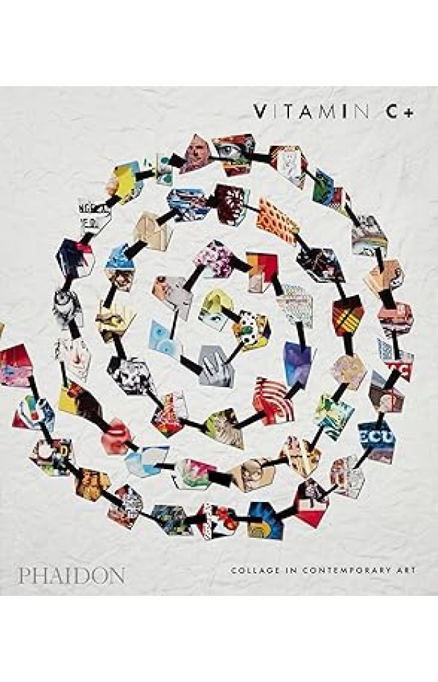 Vitamin C+: Collage in Contemporary Art