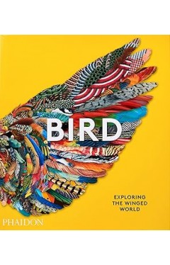 Bird: Exploring the Winged World