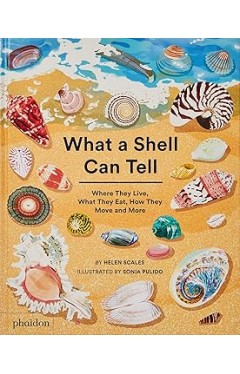 What a Shell Can Tell