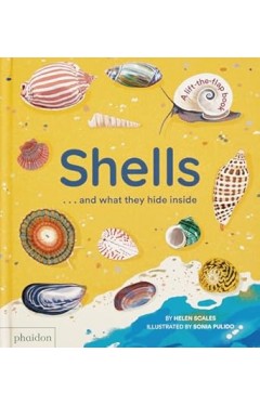 Shells and what they hide inside