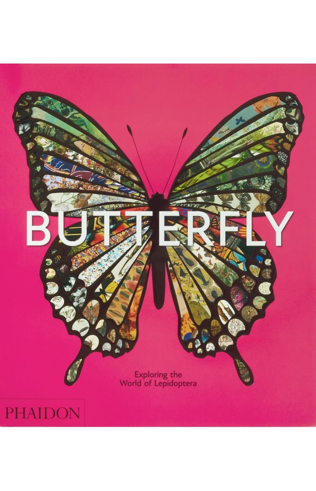 Butterfly: Exploring the World of Lepidoptera