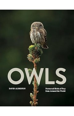 Owls