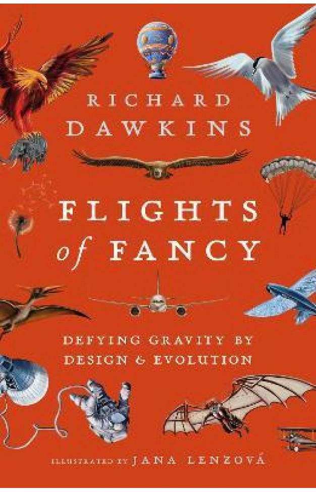 Flights of Fancy - Defying Gravity by Design and Evolution