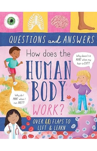 How Does the Human Body Work?