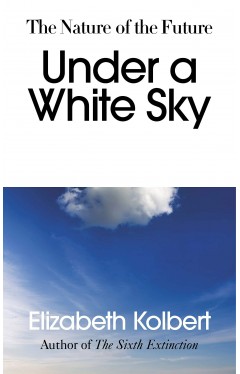 Under a White Sky: The Nature of the Future