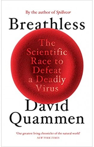 A Novel Virus