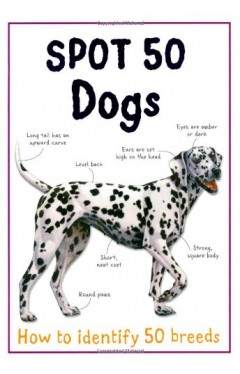 Spot 50 Dogs