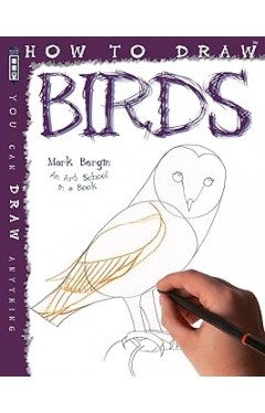 How To Draw Birds