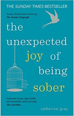 The Unexpected Joy of Being Sober: THE SUNDAY TIMES BESTSELLER