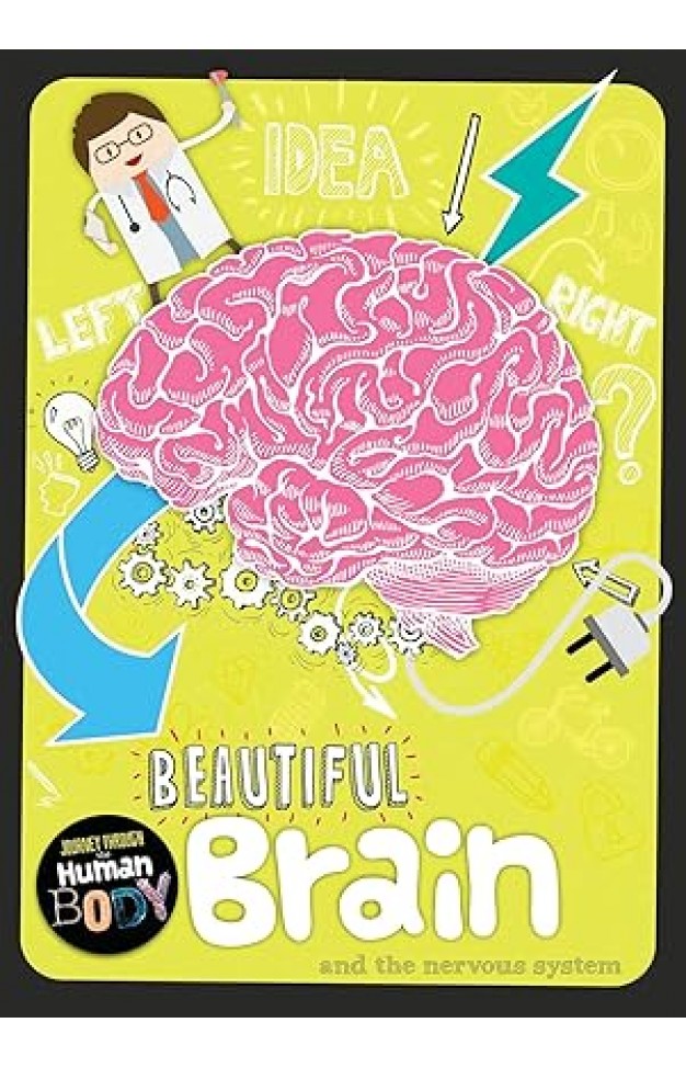 Beautiful Brain and the Nervous System