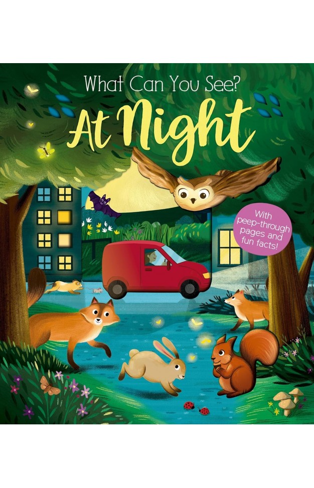 What Can You See At Night