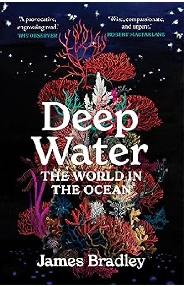 Deep Water  The World in the Ocean