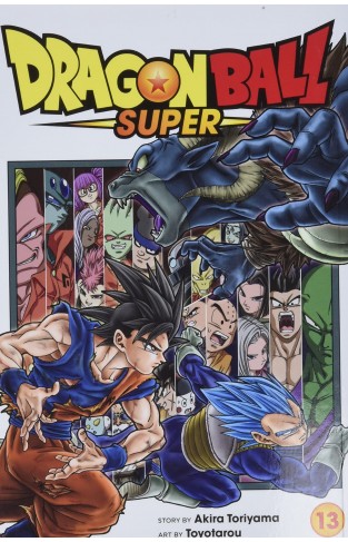 Dragon Ball Super, Vol. 13: Volume 13