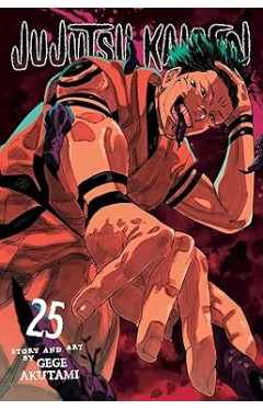 Jujutsu Kaisen, Vol. 25