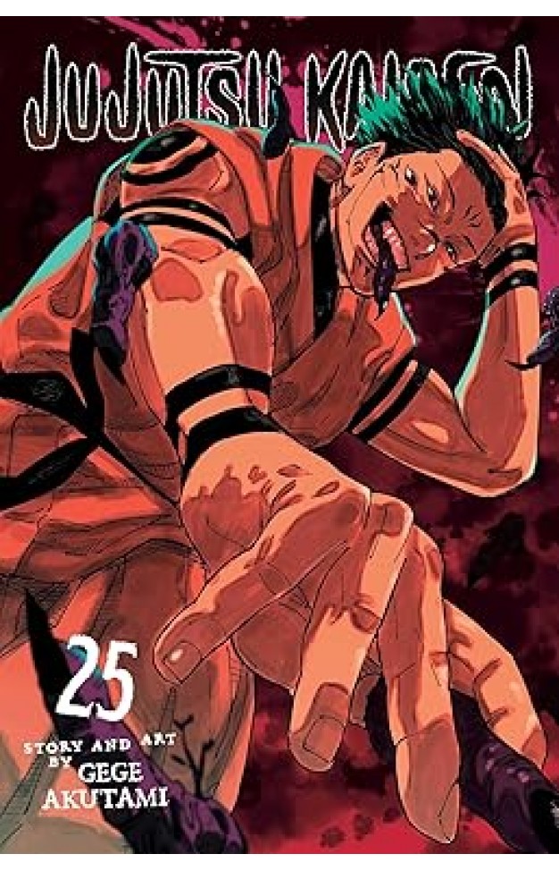 Jujutsu Kaisen, Vol. 25