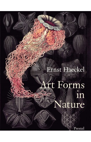Art Forms in Nature - The Prints of Ernst Haeckel : One Hundred Color Plates