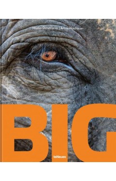 Big - A Photographic Album of the World's Largest Animals
