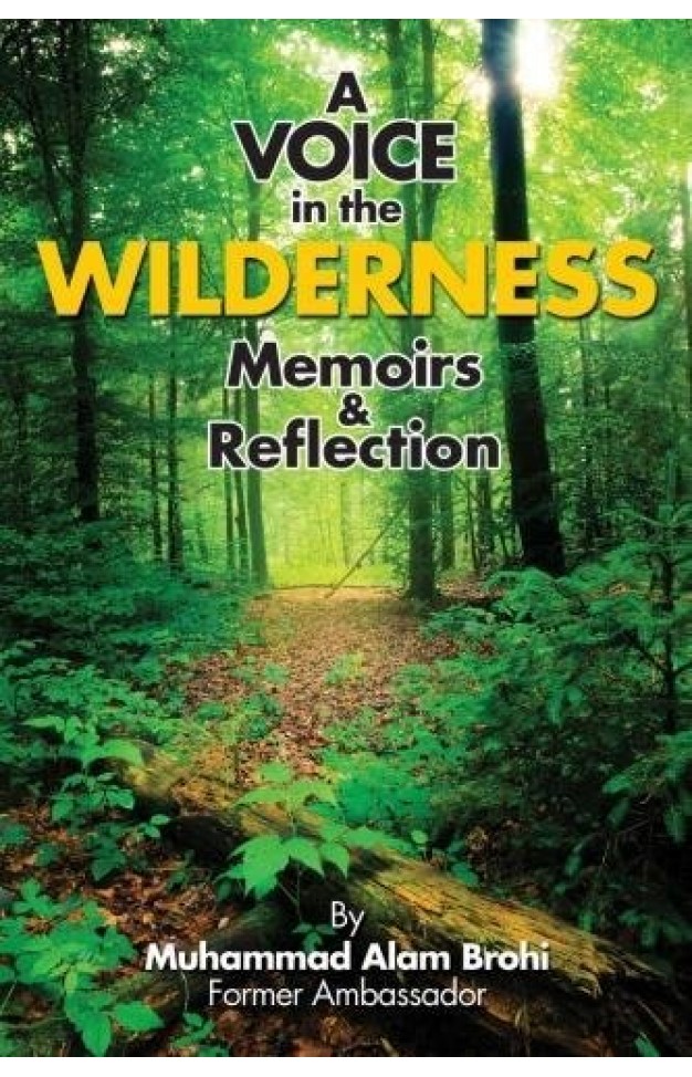 A Voice In The Wilderness Memoirs & Reflections A Voice In The Wilderness Memoirs & Reflections