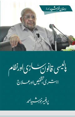 Policy, Qanoon Sazi aur Nizam – Abtari, Tashakhus aur Ilaj