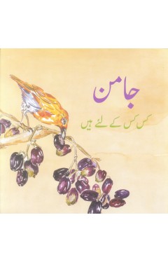 Jaman kis kis ky leye hai