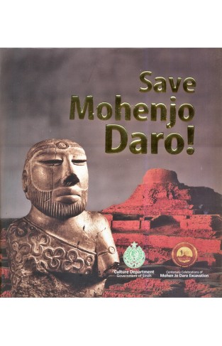 Save Mohenjo Daro!