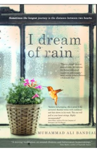 I dream of rain
