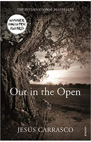 Out in the Open Paperback