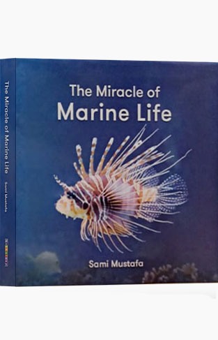 The Miracle Of Marine Life