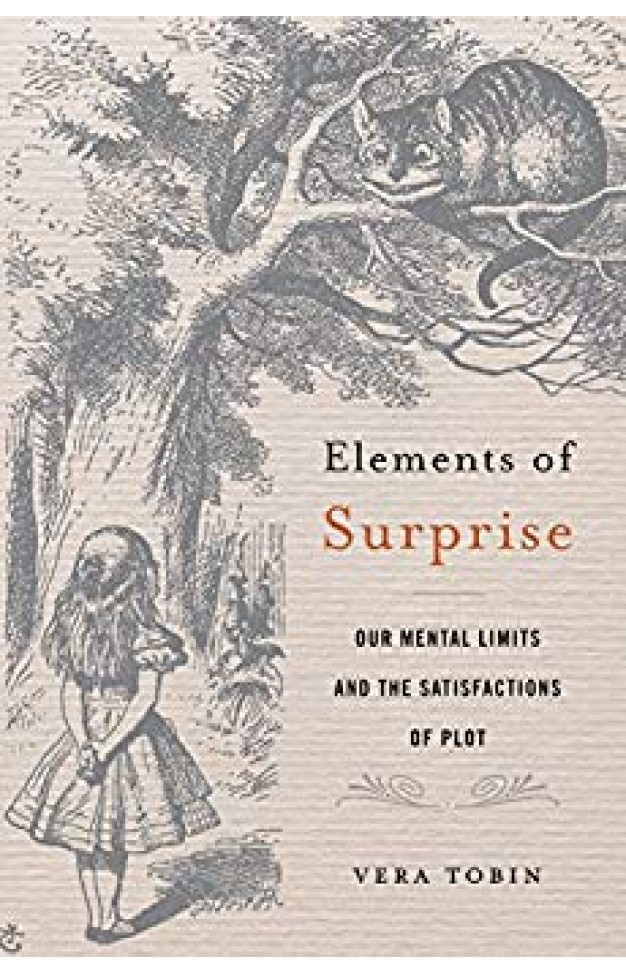 Elements of Surprise: Our Mental Limits and the Satisfactions of Plot