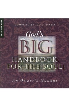 God's Big Handbook for the Soul: An Owner's Manual