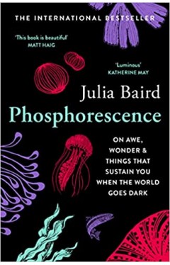 Phosphorescence: On awe, wonder &amp; things that sustain you when the world goes dark