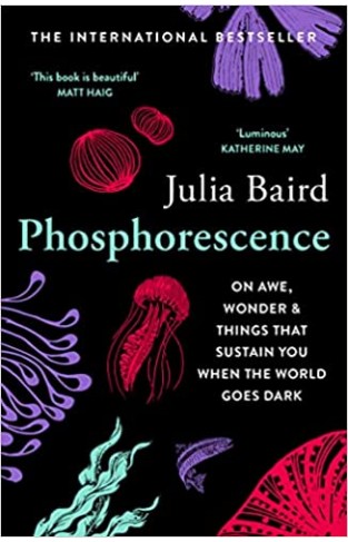 Phosphorescence: On awe, wonder & things that sustain you when the world goes dark