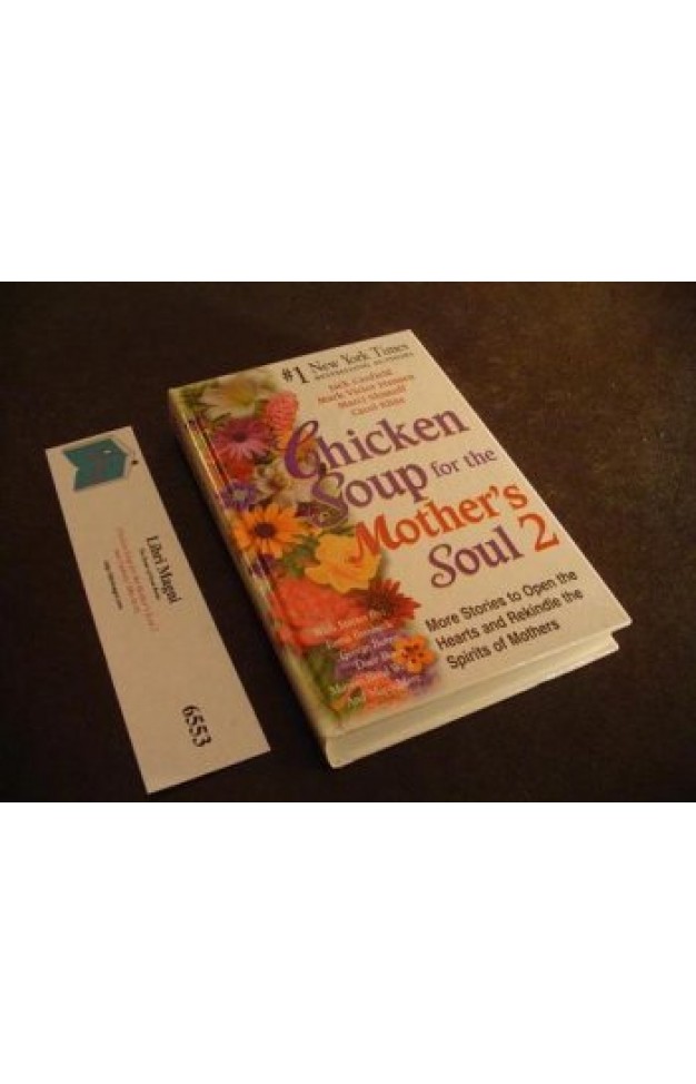 Chicken Soup for the Mother's Soul 2 