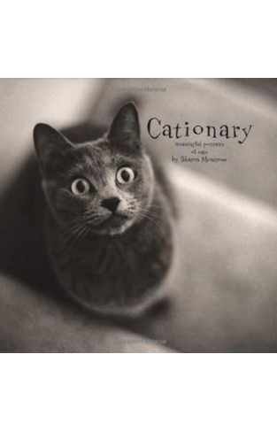 Cationary: Meaningful Portraits of Cats