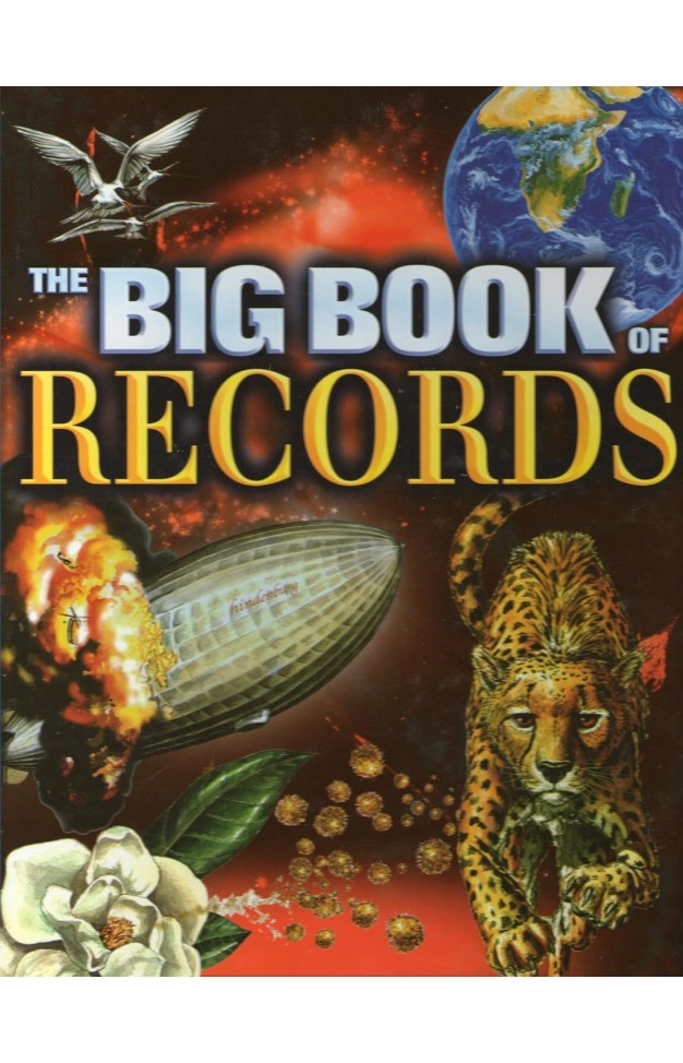 The Big Book of RECORDS