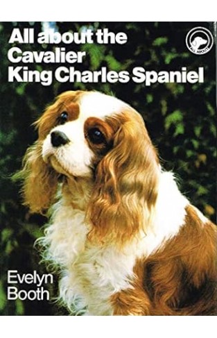 All about the Cavalier King Charles spaniel