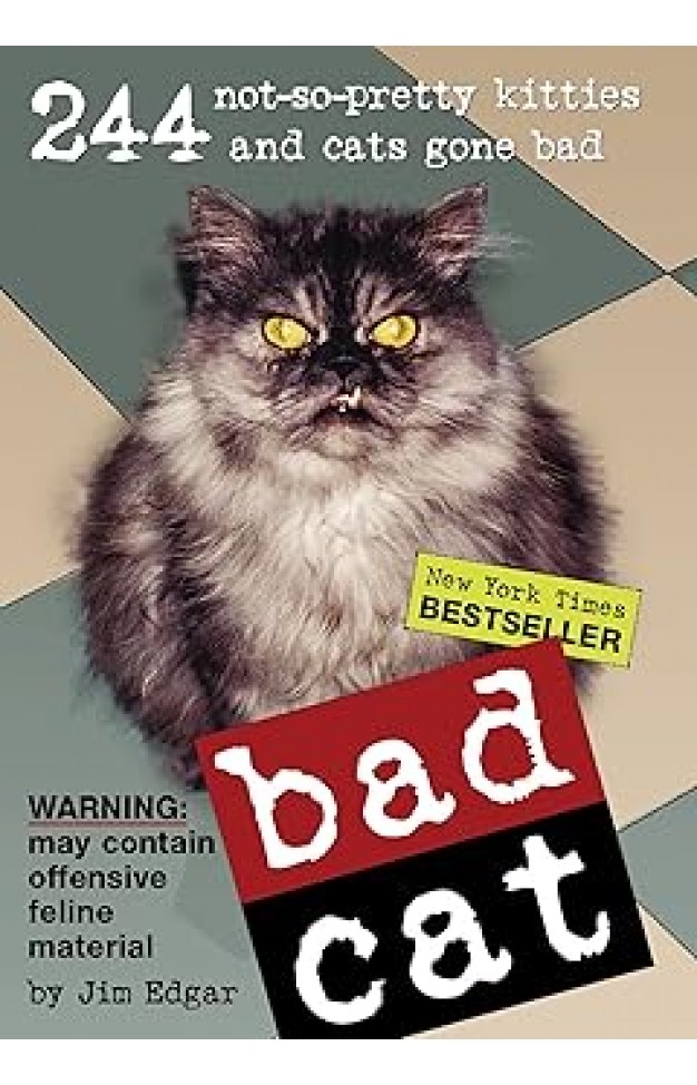 Bad Cat: 244 Not-So-Pretty Kitties and Cats Gone Bad