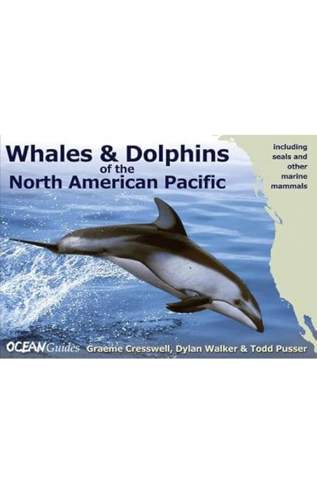 Whales and Dolphins of the North American Pacific