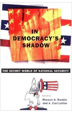 In Democracy's Shadow