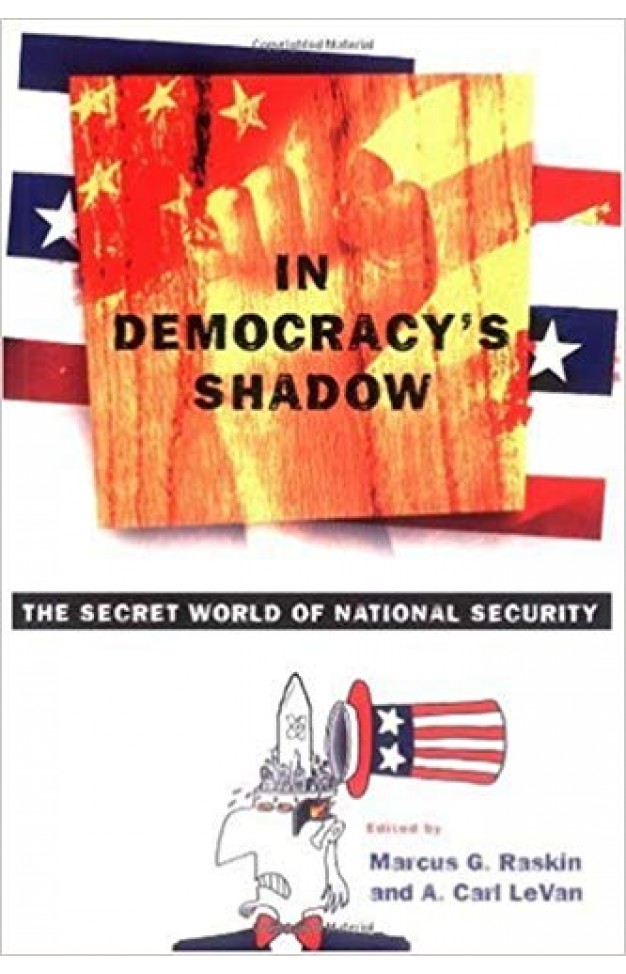 In Democracy's Shadow