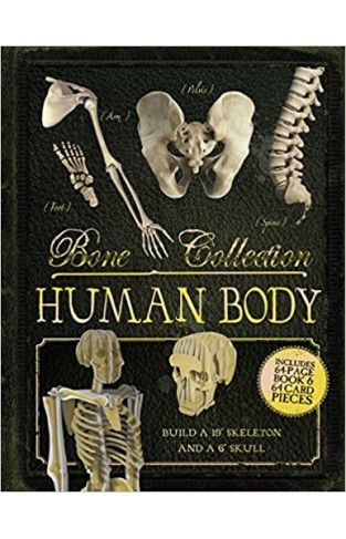 Bone Collection: Human Body