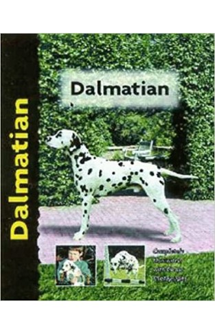 Dalmatian