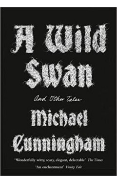 A Wild Swan: And Other Tales