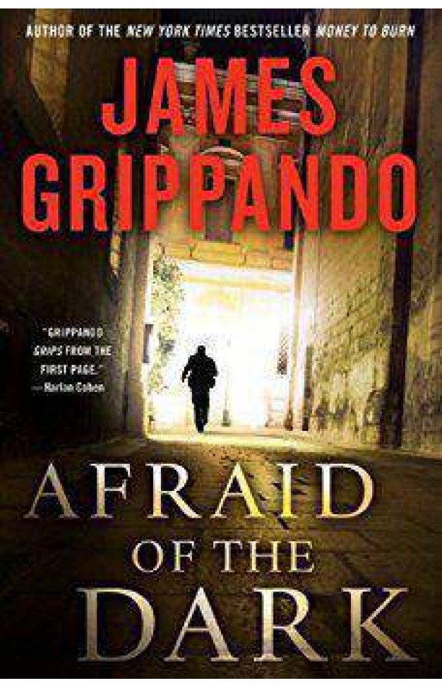 Afraid of the Dark (Jack Swyteck)